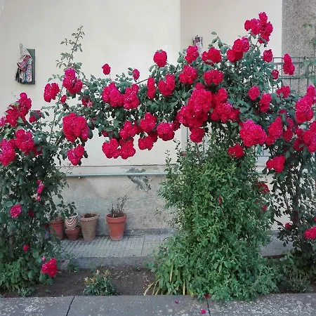 Casa Sciotto